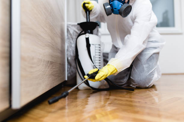 Best Local Pest Control Services  in Loudonville, OH