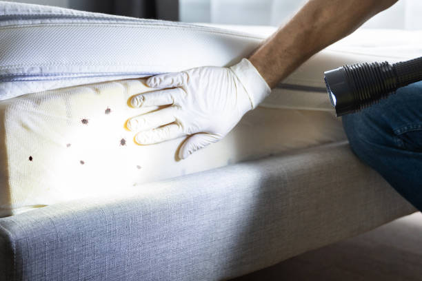 Best Pest Inspection Near Me  in Loudonville, OH