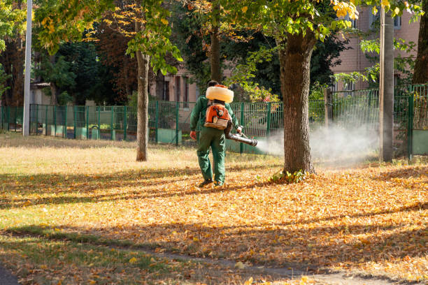 Best Pest Prevention Services  in Loudonville, OH