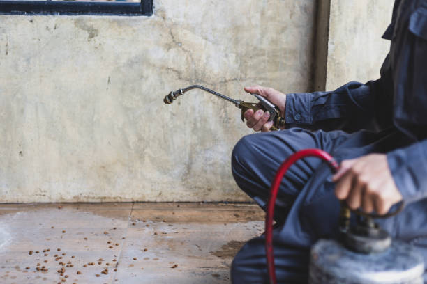 Best Pest Prevention Services  in Loudonville, OH